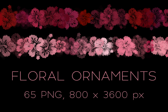 Explore Vibrant Hibiscus Floral Ornaments PNGs