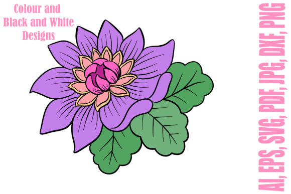 Exploring the Beauty of Floral Line Art and Colour Flowers and L