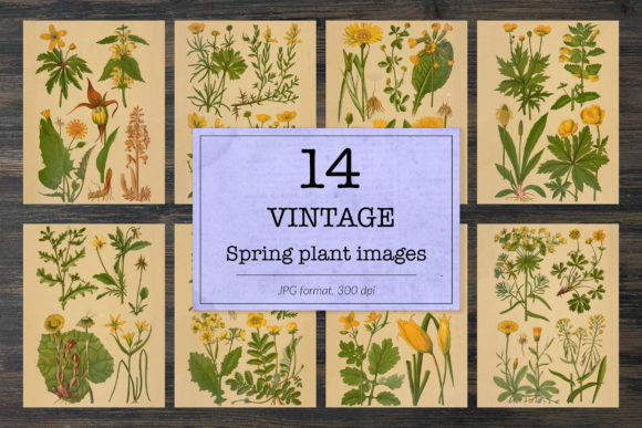 Vintage Spring Floral Backgrounds for Design