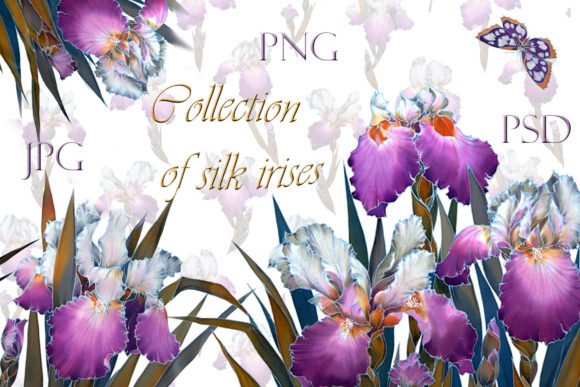 Watercolor Clip Art Floral Irises